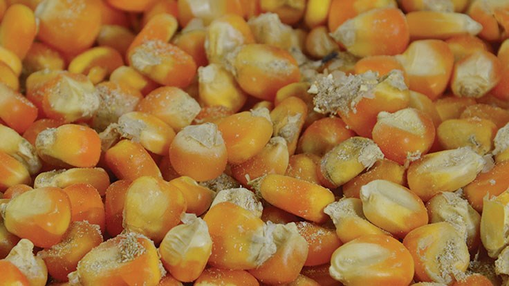 DuPont signs multiyear contract with and Quad County Corn Processors